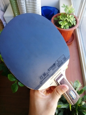 Stiga   infinity   VPS V   ֮�°���ҫ��----------��������֮---------�ܰͻ���������ͼ���ͣ�