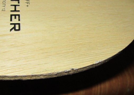 [ԭ��] �����µ� ���� FL ��9�£��Ȿ˦��