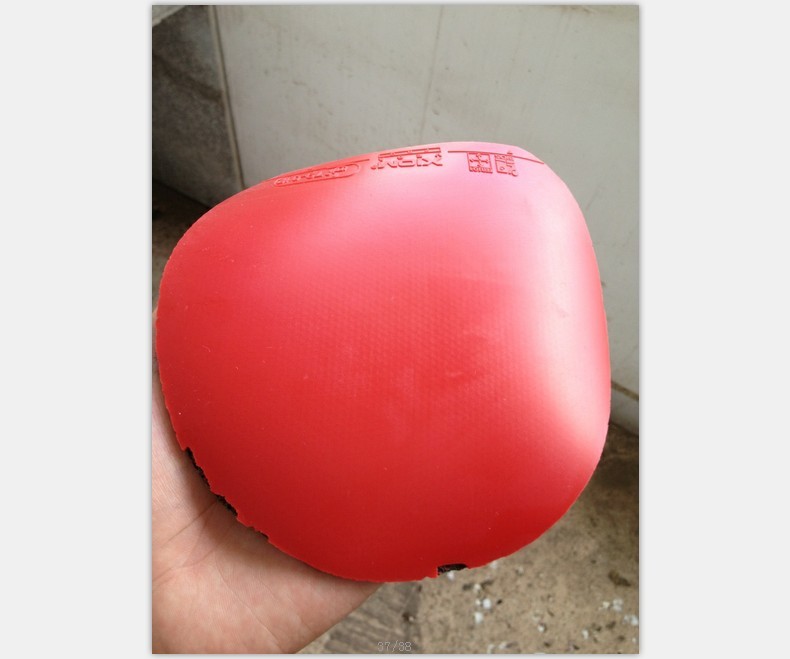 ͦ NIMBUS SAMBA+,VEGA ŷޣrasant,hexer,VEGA pro,srivel FX