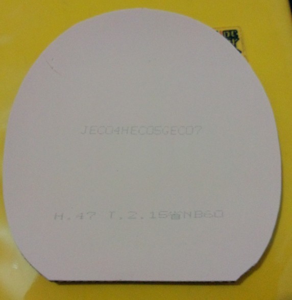 SRIVER-FX2.1˺ħ08ESʡףV