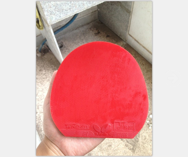 ��64����SRIVEL,һ��һ�� VEGA ŷ��