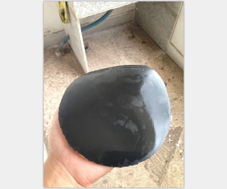 ��64����SRIVEL,һ��һ�� VEGA ŷ��