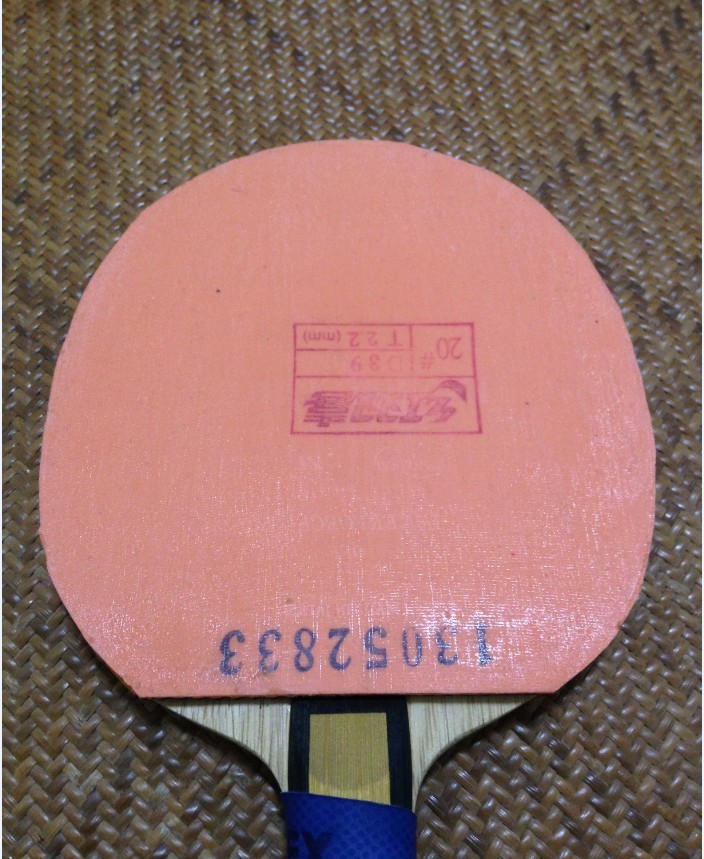 (����)200��95��ʡ��ںʹ�Z�� �����