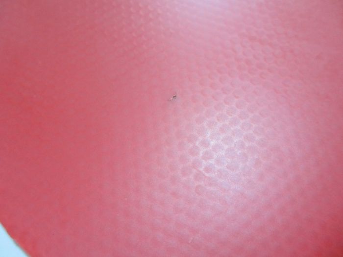 ��T05��ɫ���� ��ɫһ�� T05FX��ɫ���飬T64��ڸ�һ�飬T25FX��ɫ���飡