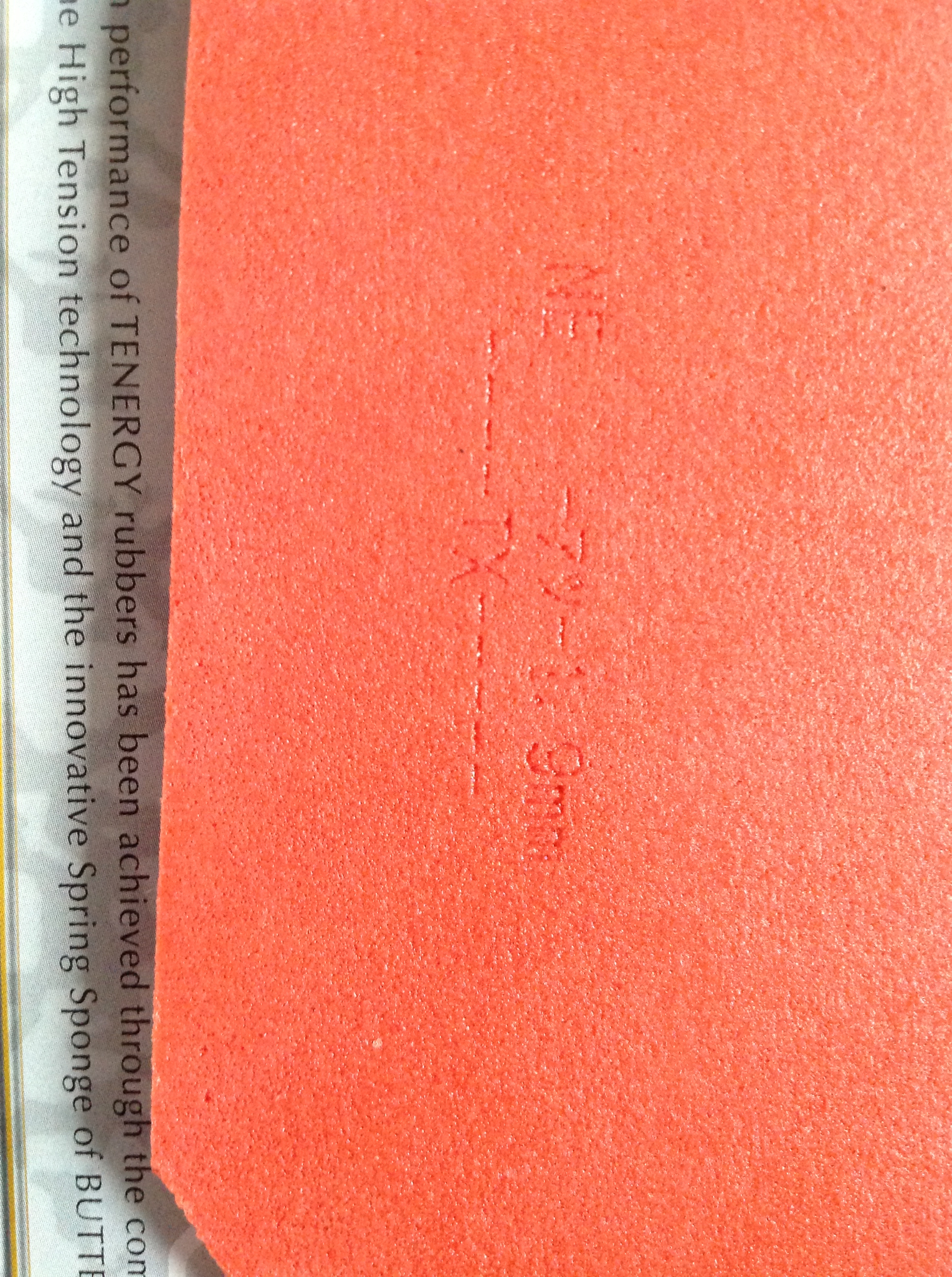 ��һ��95�� ����T64 ֧��֧��������