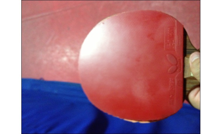 õ��5�����T05 Ʒ��ܲ�����158���ʡ�