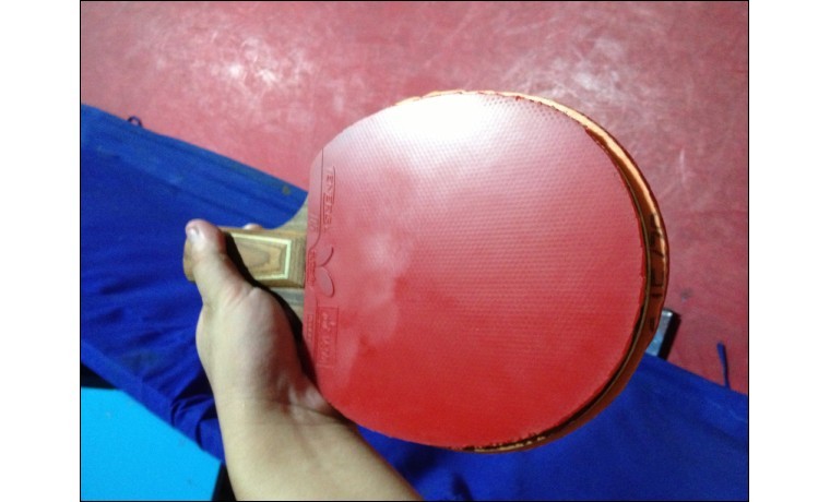 õ��5�����T05 Ʒ��ܲ�����158���ʡ�