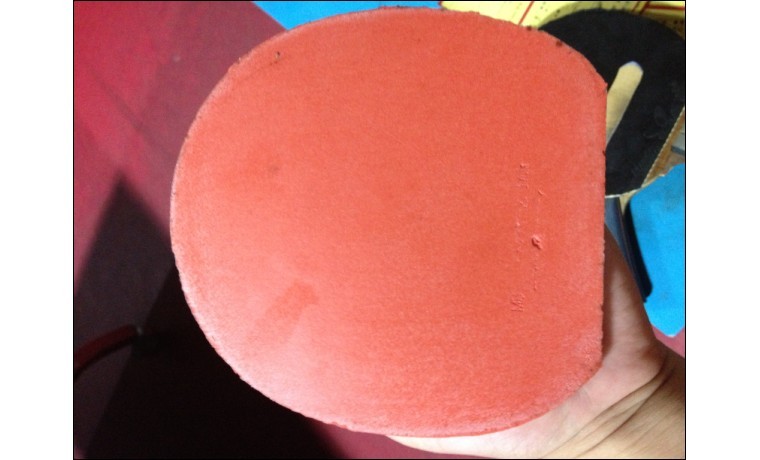 õ��5�����T05 Ʒ��ܲ�����158���ʡ�