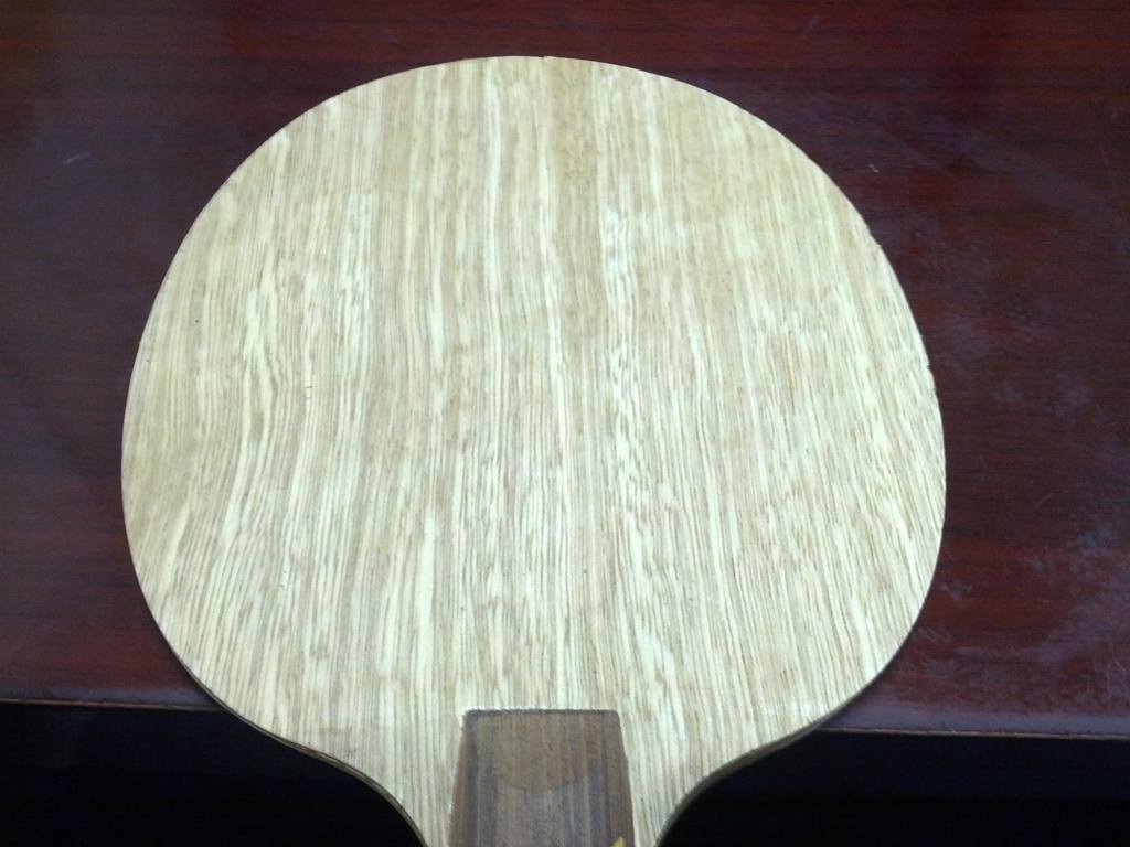 �������רҵ��ר����~~