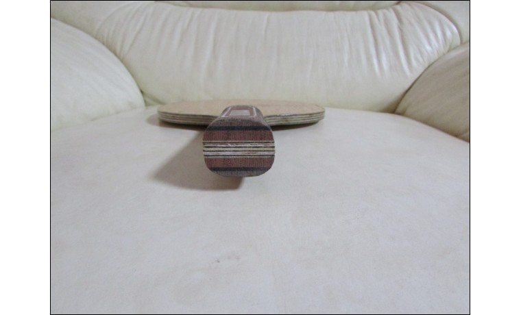 ����TIBHAR�߶�����Tibhar Karas offֻ��480����