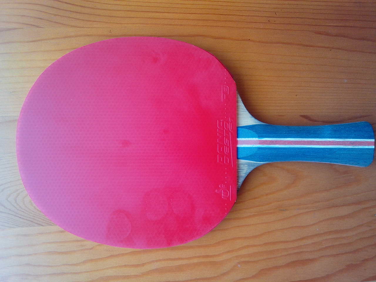 ��VIVA���׽�