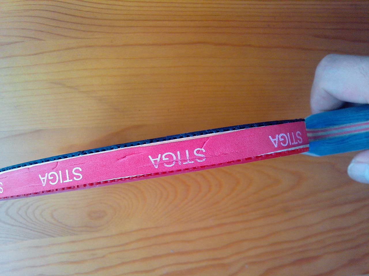 ��VIVA���׽�