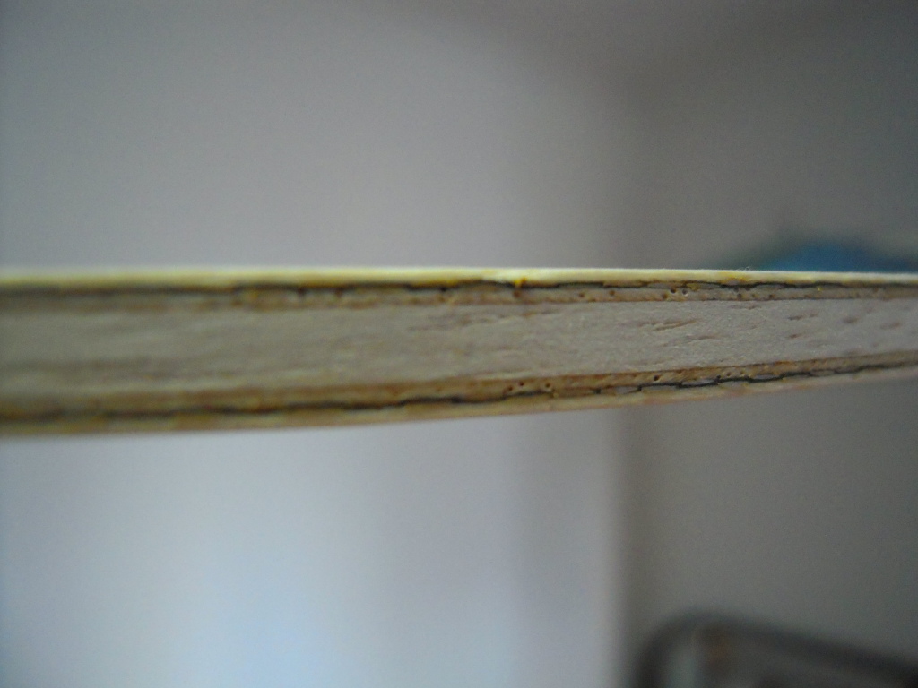 [��ͼ][ע��][ԭ��]����   ����Ʈѩ�Ĺ��в���ZLC��FL�������£�1200��˳�ᣬ���������飡