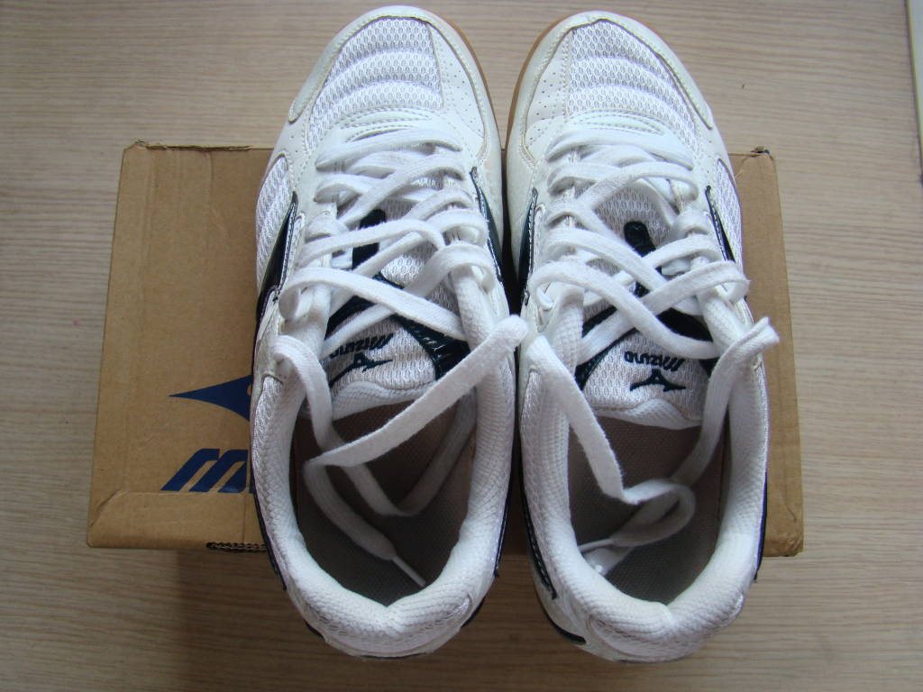 ������Ũƹ����Ь