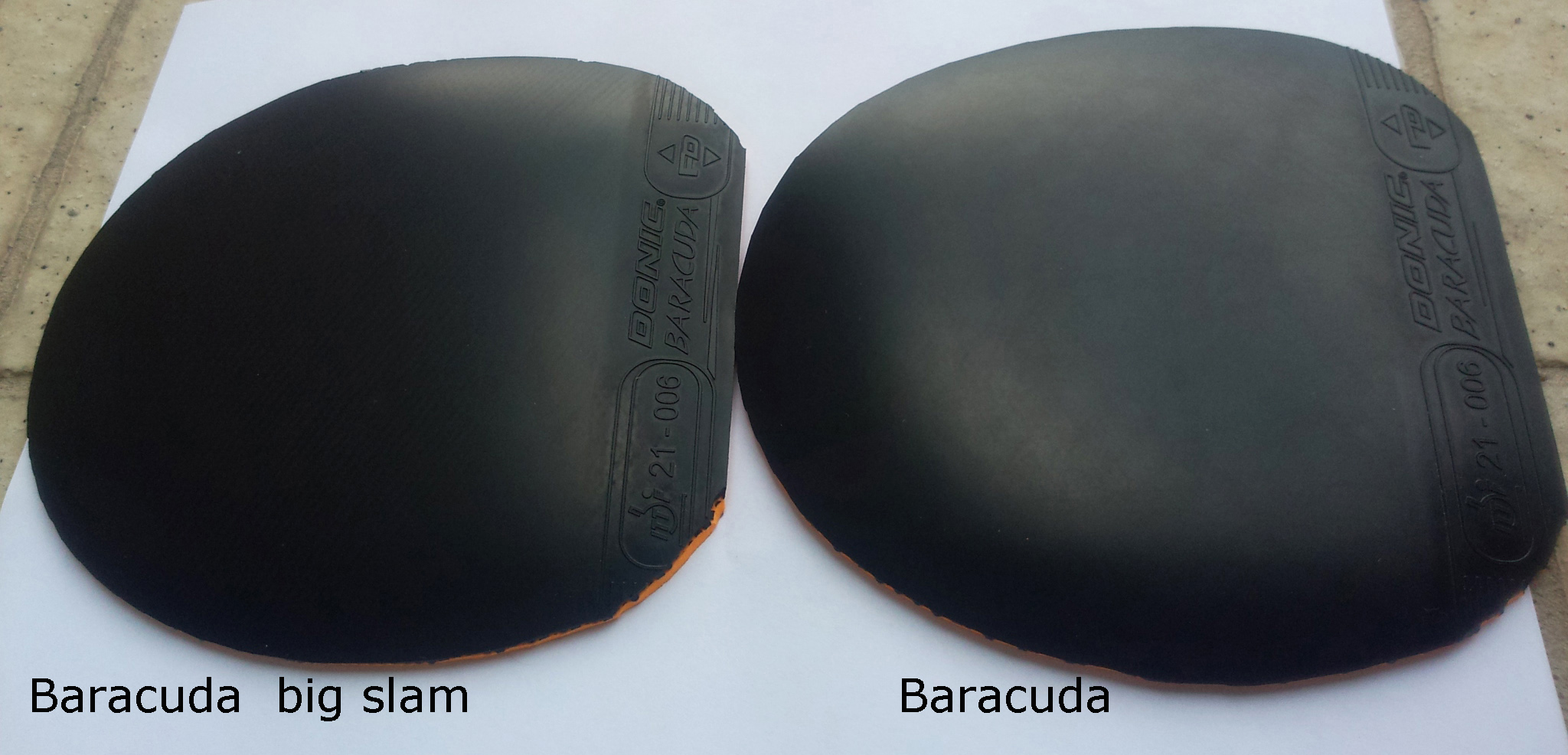 �������ͼ۴���һ����Ƥ���������ɡ�����