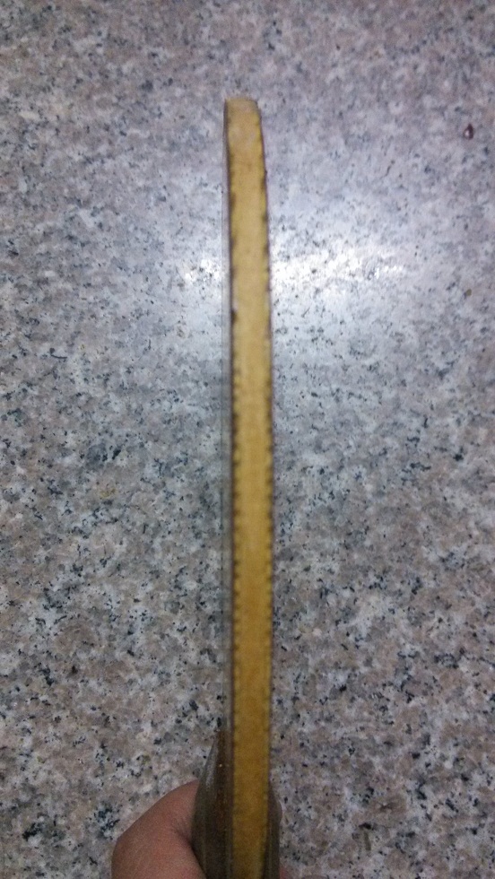 [ԭ]õ5һڼ350ԾӢ