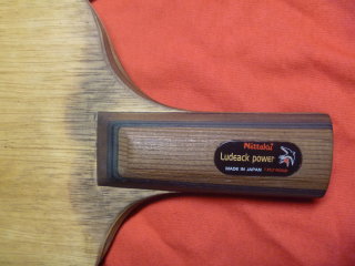 ֧���������ִ���