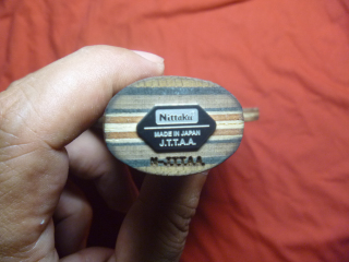 ֧���������ִ���