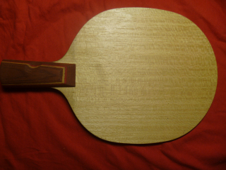 ֧������˫�������R5