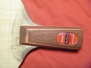 ֧������˫�������R5