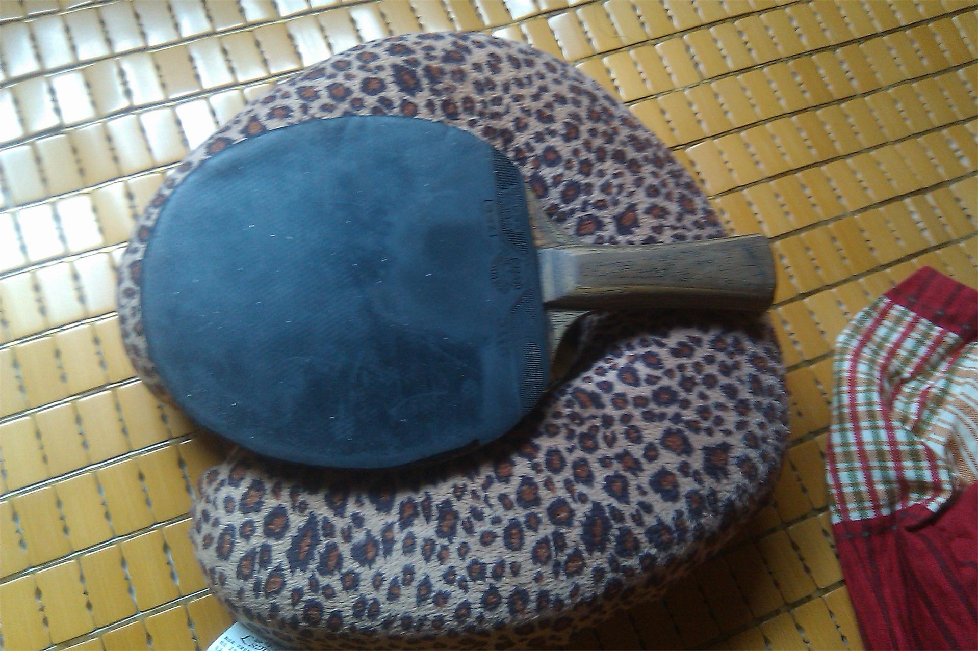 ���������Ʊ���