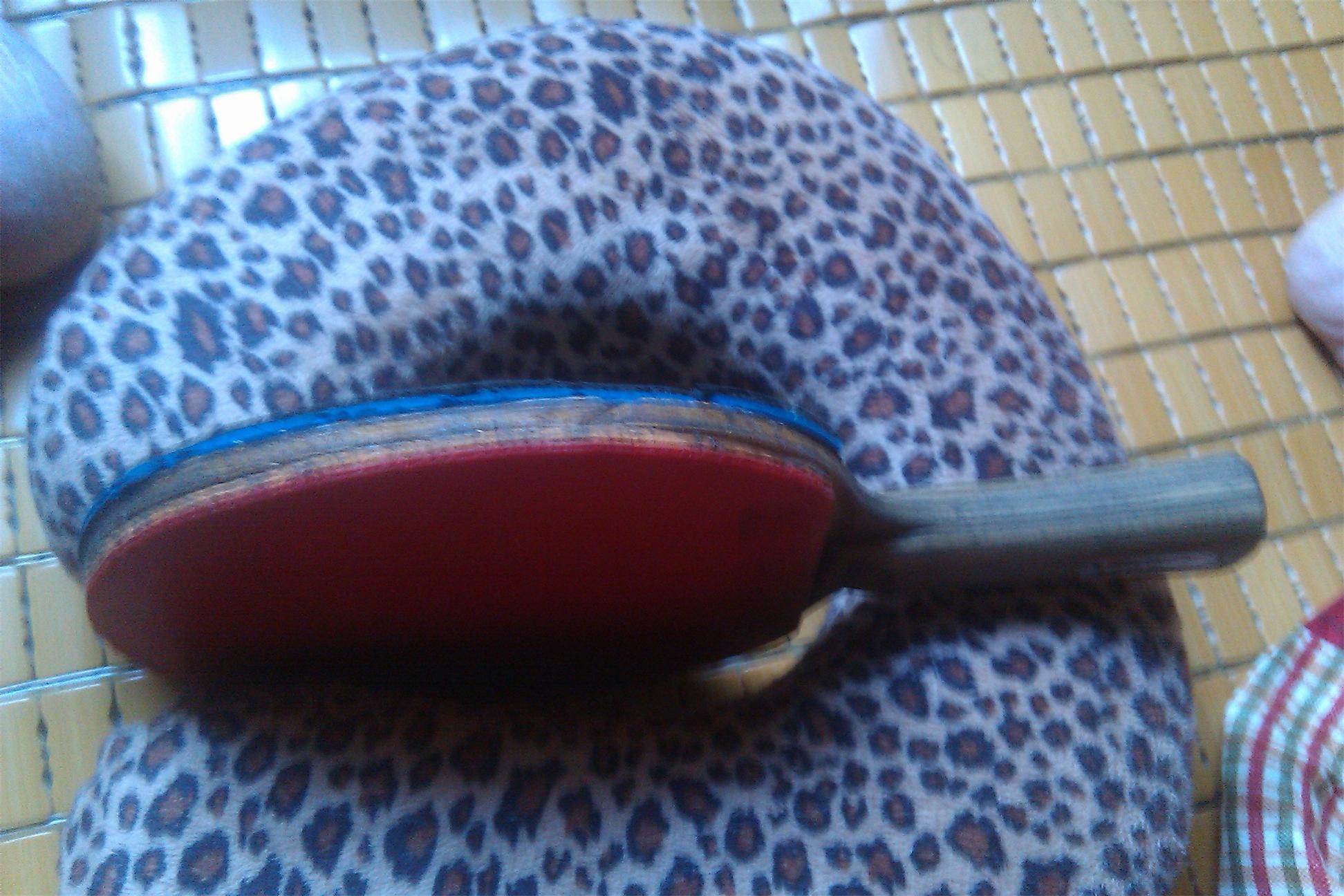 ���������Ʊ���