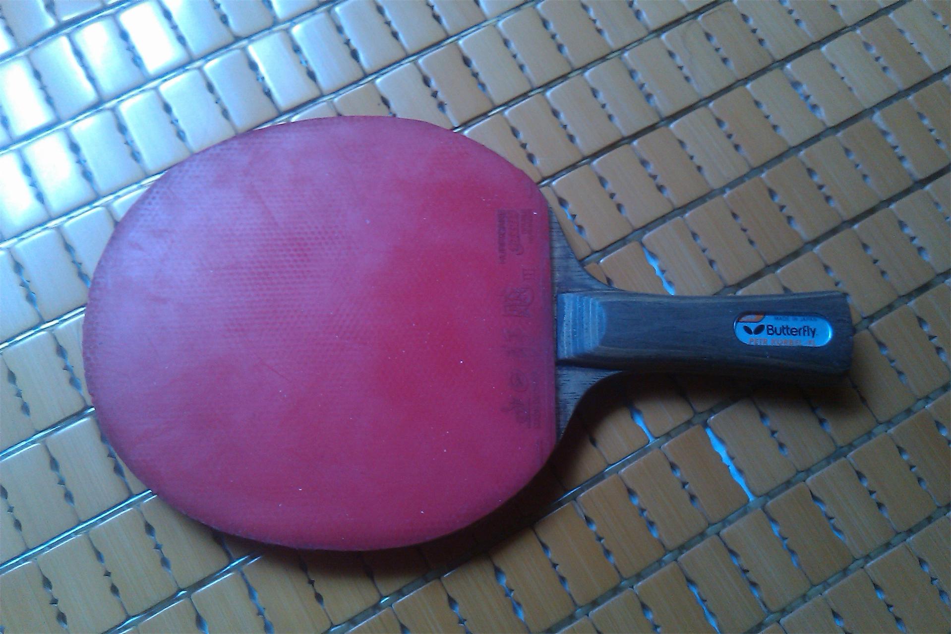 ���������Ʊ���