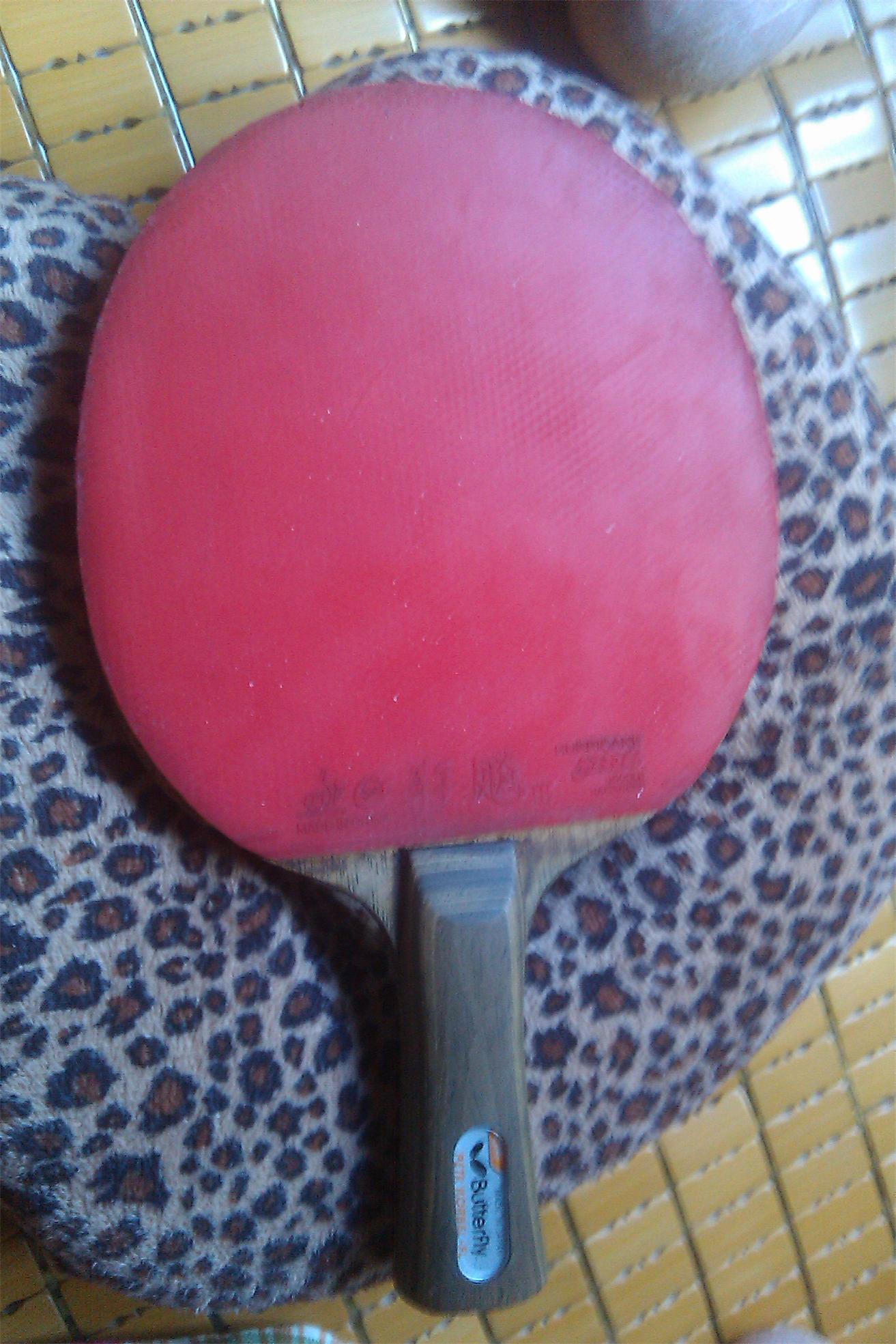 ���������Ʊ���