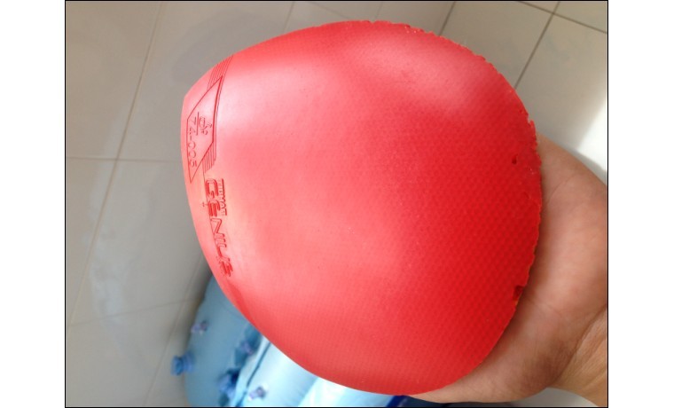 ͦ����� 88����