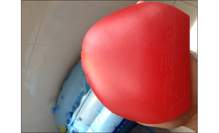 ͦ����� 88����