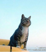 300���ڵĿ����655�������Ļ��