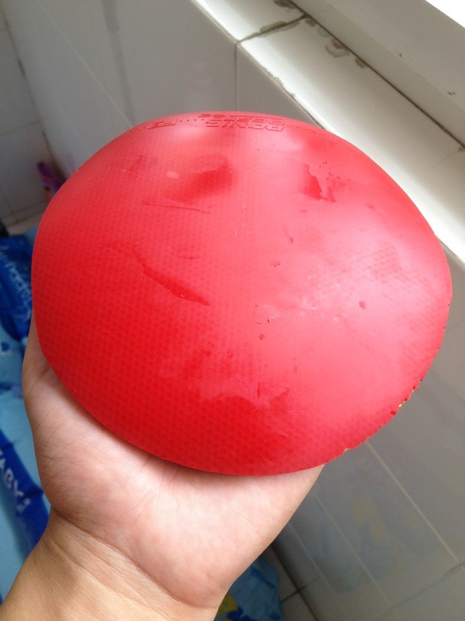 G2-FX,F2����������LONG 3��VEGA elite