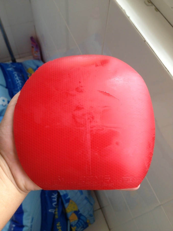 G2-FX,F2����������LONG 3��VEGA elite