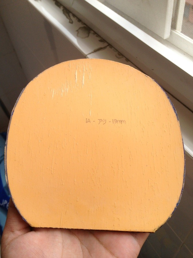 G2-FX,F2����������LONG 3��VEGA elite