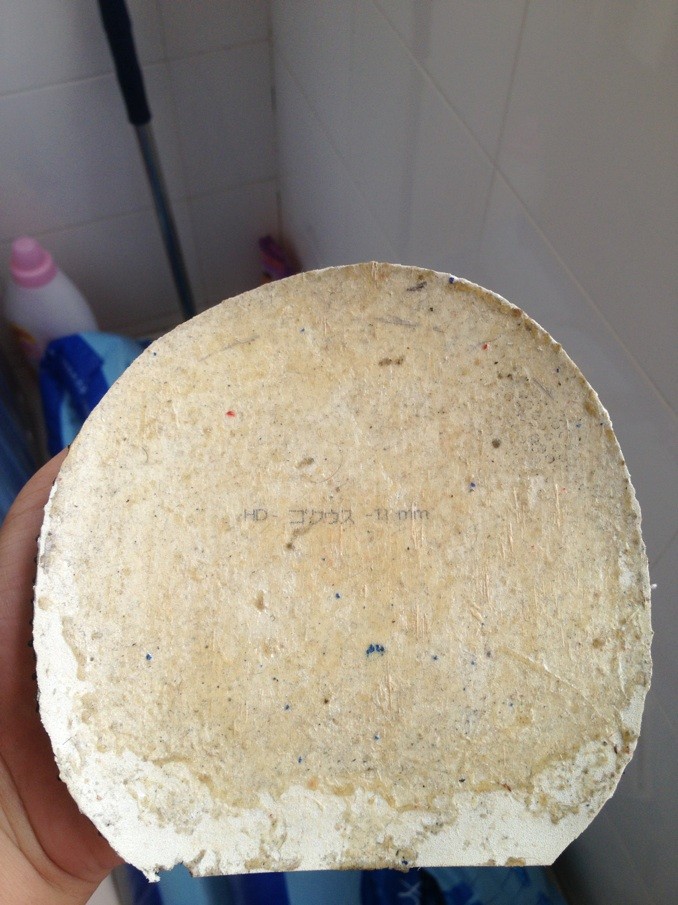 G2-FX,F2����������LONG 3��VEGA elite