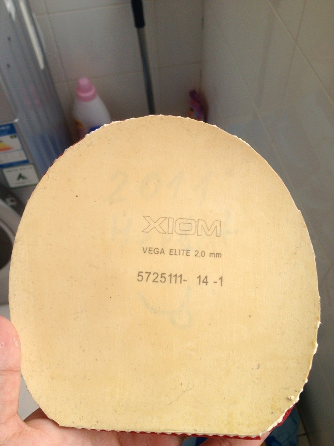 G2-FX,F2����������LONG 3��VEGA elite