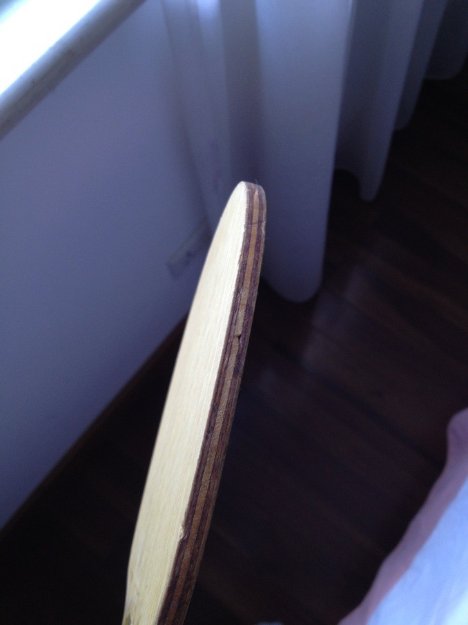 [ԭ��]���ִ���һֻ��ʵ������