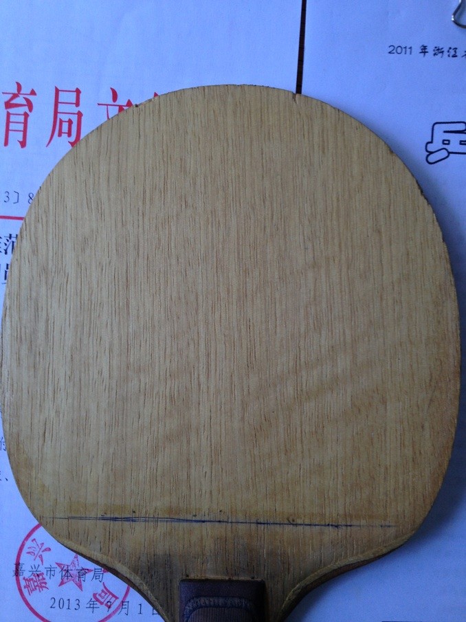 [ԭ��]���ִ���һֻ��ʵ������