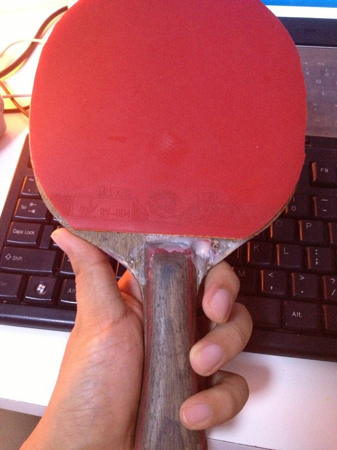 [ԭ��]���ִ���һֻ��ʵ������