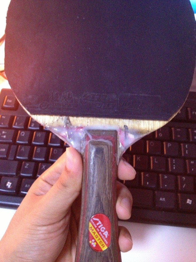 [ԭ��]���ִ���һֻ��ʵ������