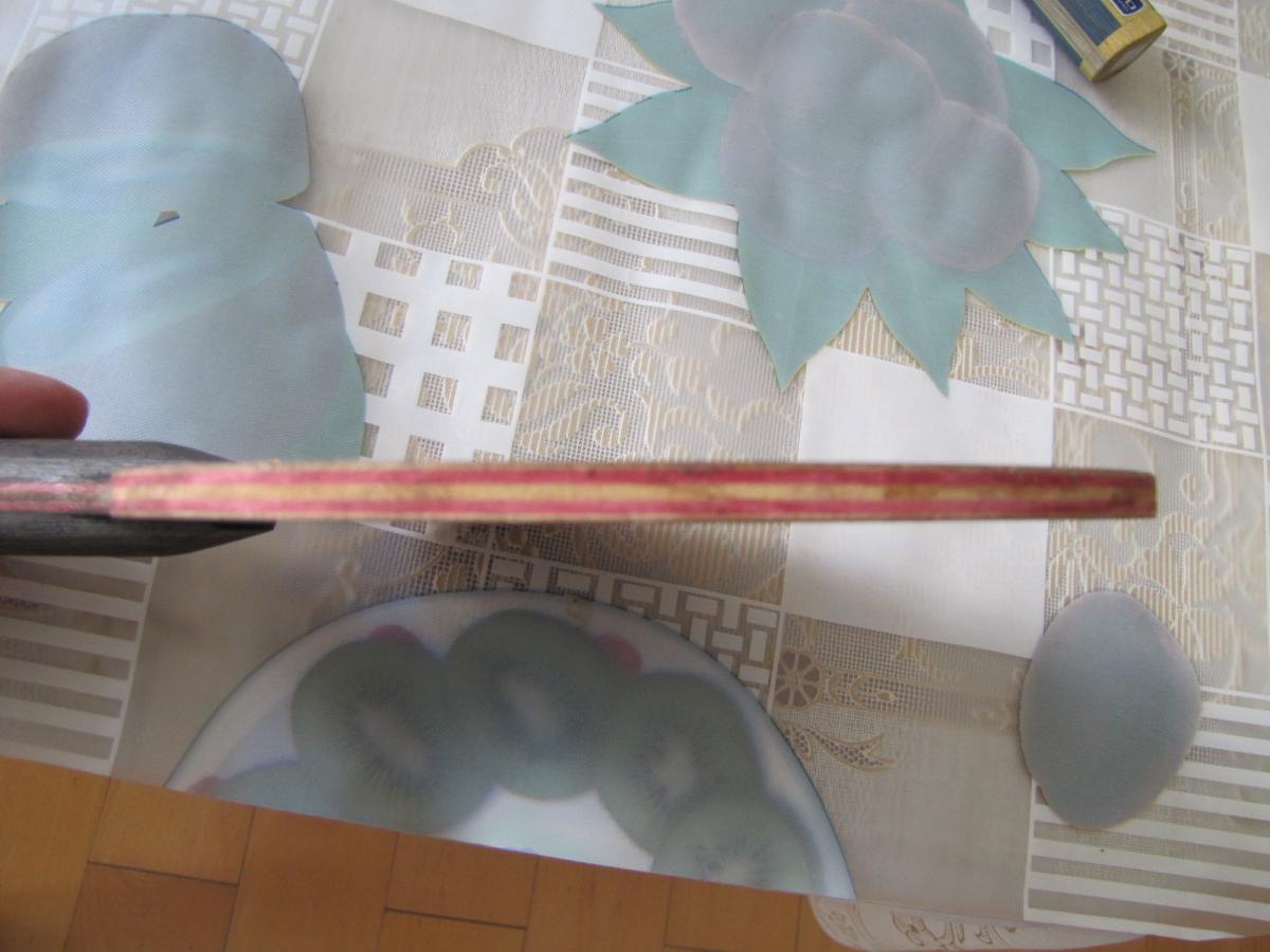 ����֧���Amultart��Photino������ë������ľ����