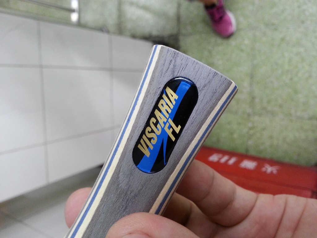 [����]���ѿ�����ʣ�µ�ȫ�º���VISCARIA����������