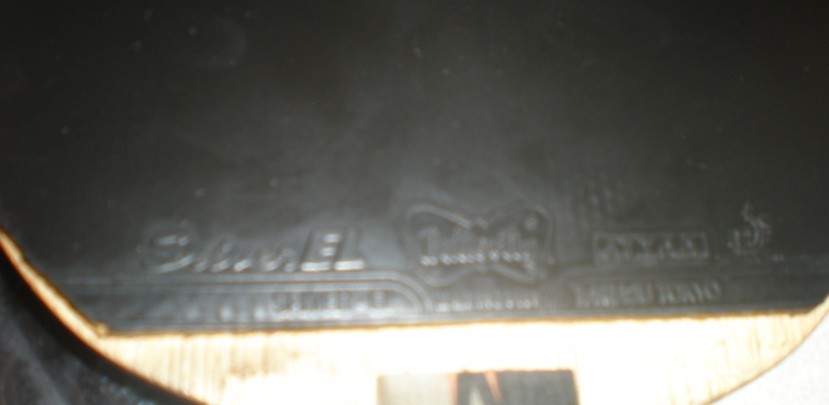 ��ʵ�ݳ�����506 ���׽�����������������������������