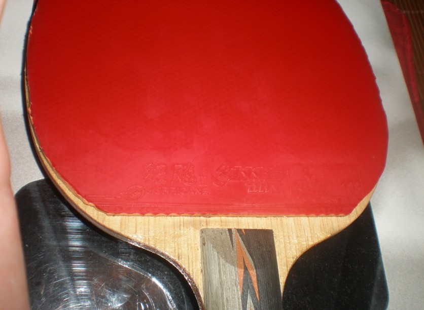 ��ʵ�ݳ�����506 ���׽�����������������������������