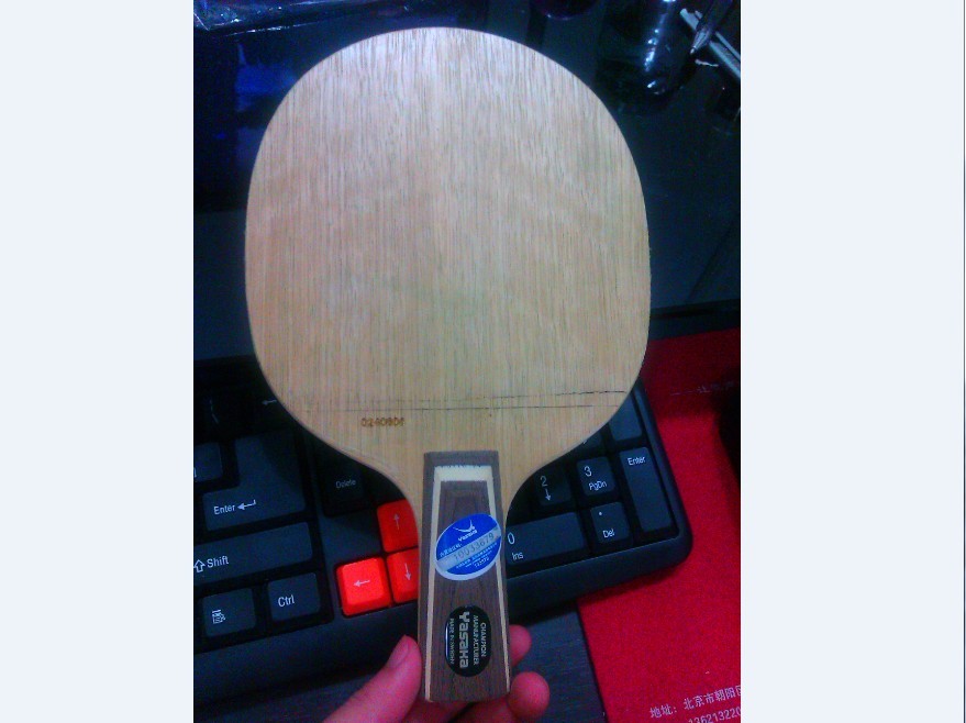 �����������ѳ�yscc��������Ѫ��blood