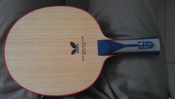 ����zlc ���µ�һ��������