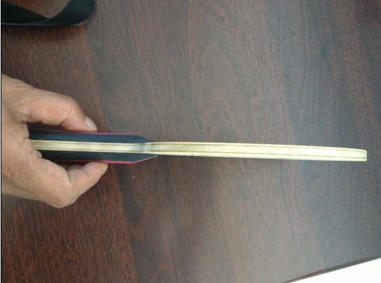 9.5�µĺ���AMULTART 950����