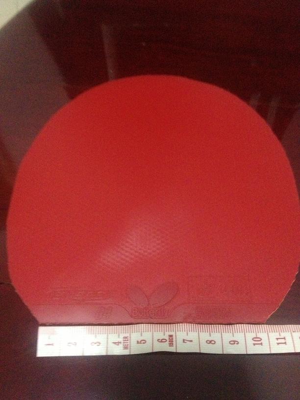 ����64��NEOʡ��38��2.1�����380����