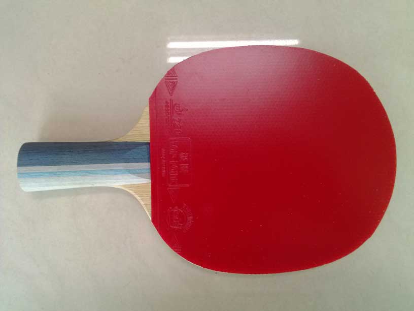 550���ʳ��������������������Ψ���й���729����