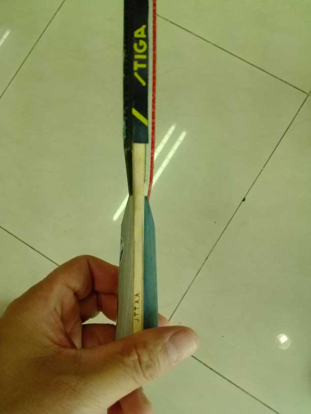 550���ʳ��������������������Ψ���й���729����